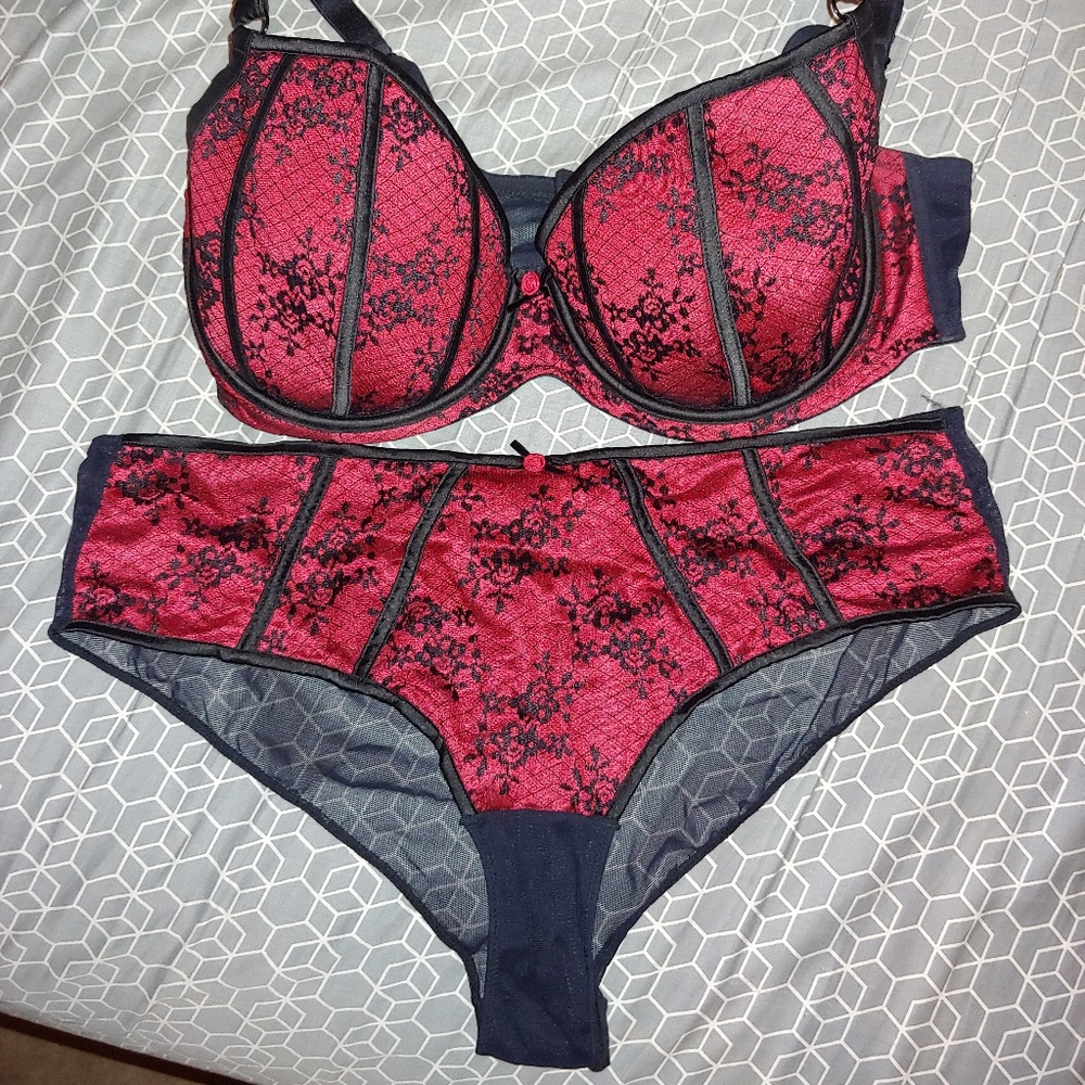 NWOT Sexy Bra and Panties Set